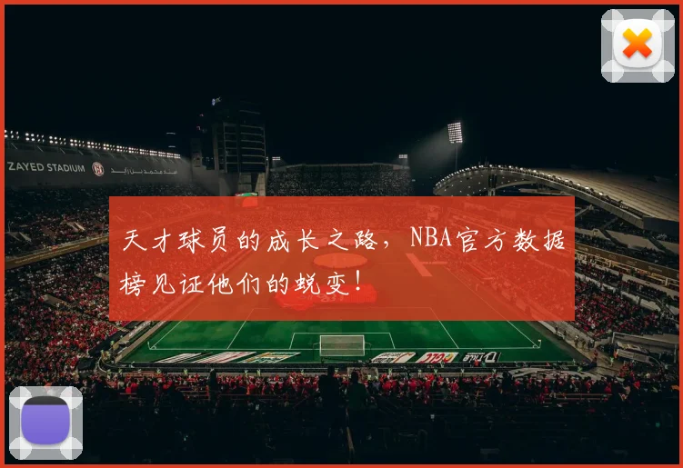 天才球员的成长之路,NBA官方数据榜见证他们的蜕变!