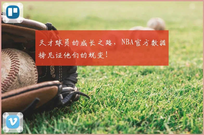 天才球员的成长之路，NBA官方数据榜见证他们的蜕变！